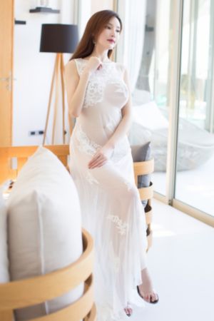 东方侠客电视剧免费观看全集_HD在线观看